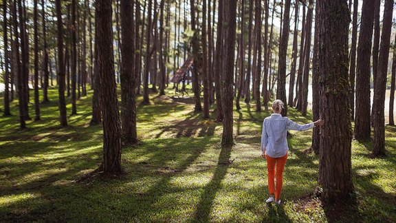 person in orange pants standing under tree during daytime - Foto: Kaipov/unsplash