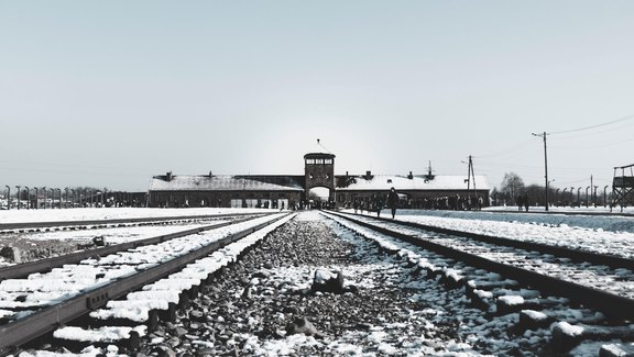 Auschwitz-Birkenau - Foto: Magugliani/Unsplash