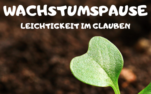 Flyer Wachstumspause
