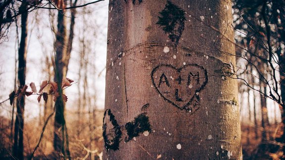 Herz in Baum geritzt - Foto: Peters/unsplash
