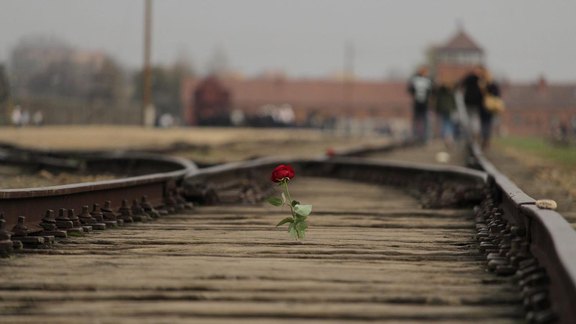 Impressionen Auschwitz - Rose am Gleis