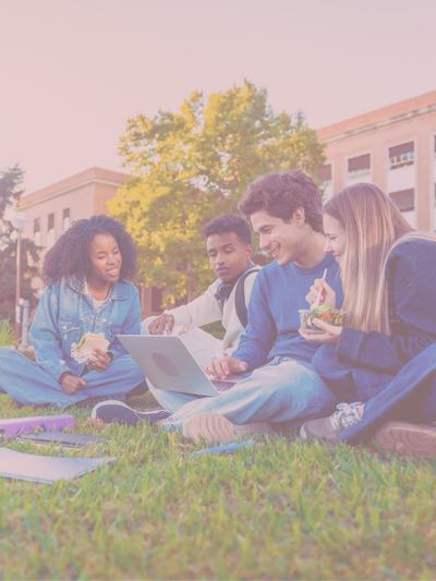 Studierende sitzen auf einer Wiese