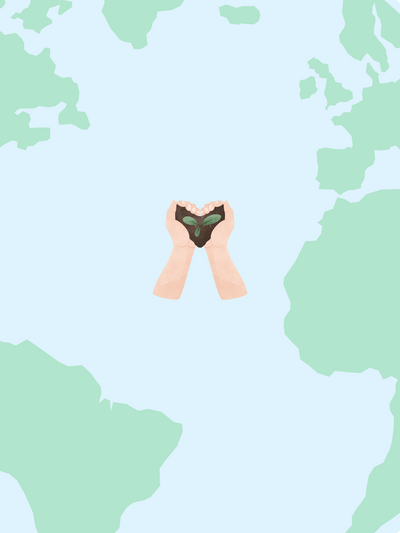 Zwei Hände halten eine Pflanze mit Erde vor einer stilisierten Weltkarte @Canva