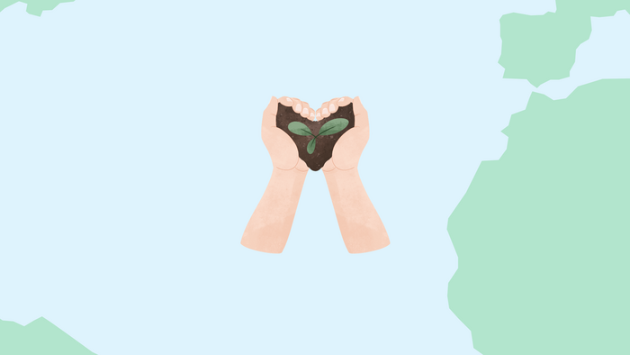 Zwei Hände halten eine Pflanze mit Erde vor einer stilisierten Weltkarte. @Canva