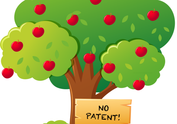 Apfelbaum - No Patent